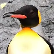 SAMBA