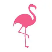 フラミンゴの画像