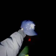 桐島の画像