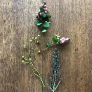 つむぎの画像