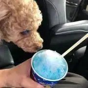 しょうくん