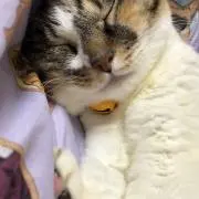 じみん(帰省中の連絡遅れます!)