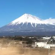 トビーヌ (即購入OKです)の画像