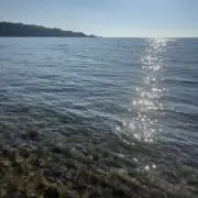 しまこの画像
