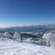 Shellの画像