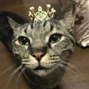ゆな☆プロフ必読の画像