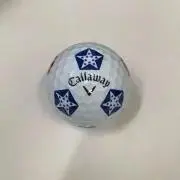タケ