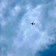 いちごだいふくの画像