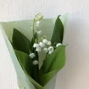itoの画像
