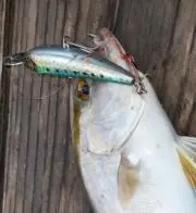 ヴィンテージ/激レア】DAM Quick ダムクィック 600B - メルカリ