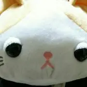 にゃぢら