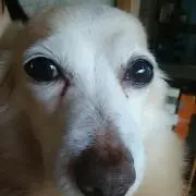 ＫＡＫＩーP♪ヽ(´▽｀)/