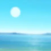 PiyoPiyoの画像