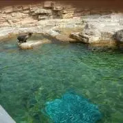 もやし兄貴