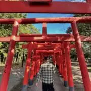 Fly君の画像