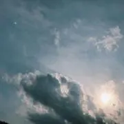 さぼの画像