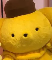 pikamamaの画像