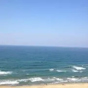 (=゜ω゜)ノ