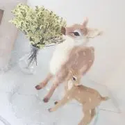 MAMAMA