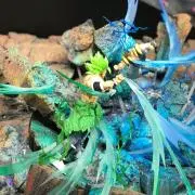 サスケ