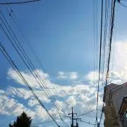 こゆきの画像