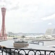 saeの画像