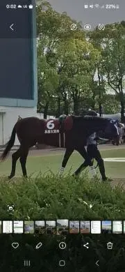 イグナイターの画像