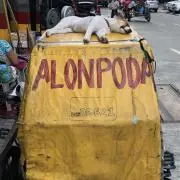 ペトロン大王の画像