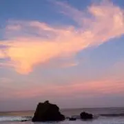 らうらの画像