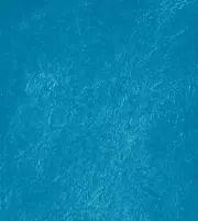 toro