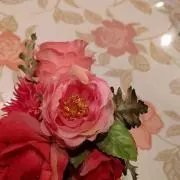 ❇*❦こうなし❦*❇