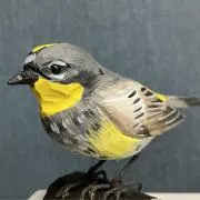 moccaの画像