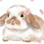 ☆ロップイヤー☆