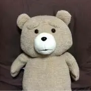ぺーたーの画像