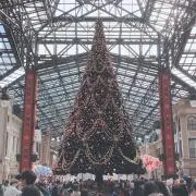 ももももの画像