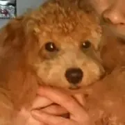 ゆこ