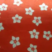 ゆゆ