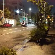 ちなみの画像