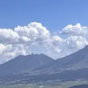 トマト
