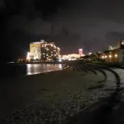 紫の画像
