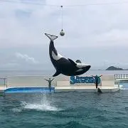 あきらの画像