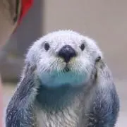 みきぽの画像