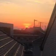 kinoko