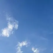 まーまれーどの画像