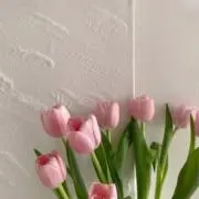 めりーの画像