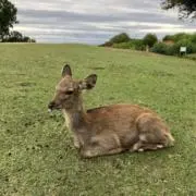 monの画像