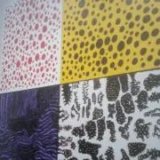 Kionの画像