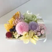 mi♡yuの画像