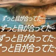 Kanoaloha