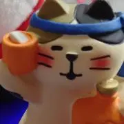 ひろこの画像